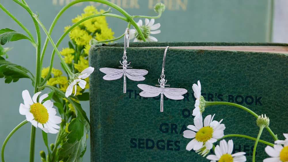 Silver dragonfly hook earrings hanging on a green book.